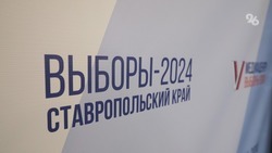 Политолог назвал Ставрополье ярким примером качественного роста явки избирателей